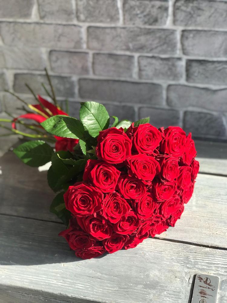 Букет Красные розы Фридом в Рогатой Балке
