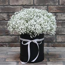 Цветочная композиция из Гипсофила в шляпной коробке в Рогатой Балке