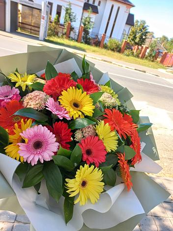 Букет цветов из: Герберы в Рогатой Балке